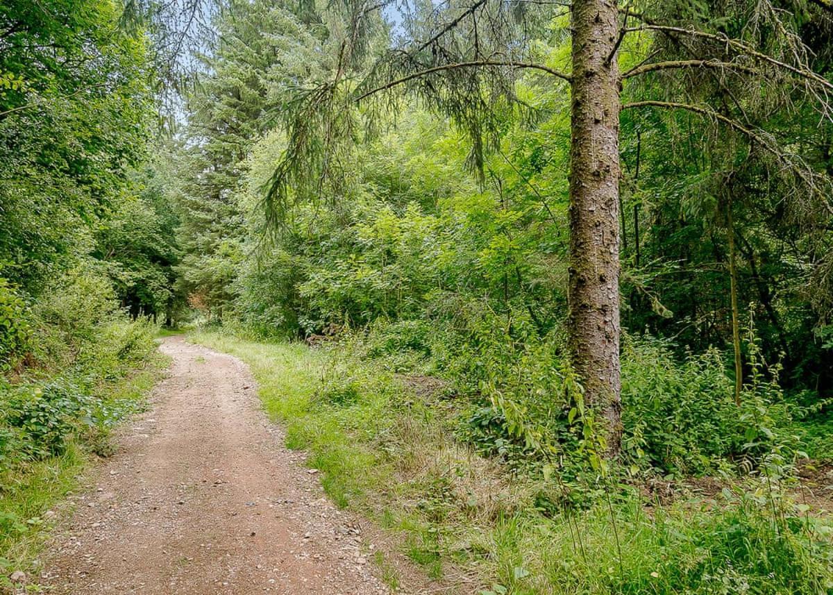 Hornbeam Country Park 호텔 호니턴 외부 사진